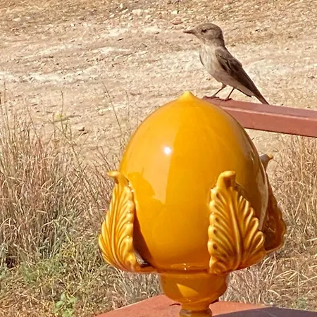 Il Sussurro Del Mare Nyaraló Cala Gonone